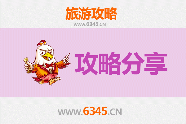 中山火炬开发区街道旅游攻略：跟团与自由行深度对比